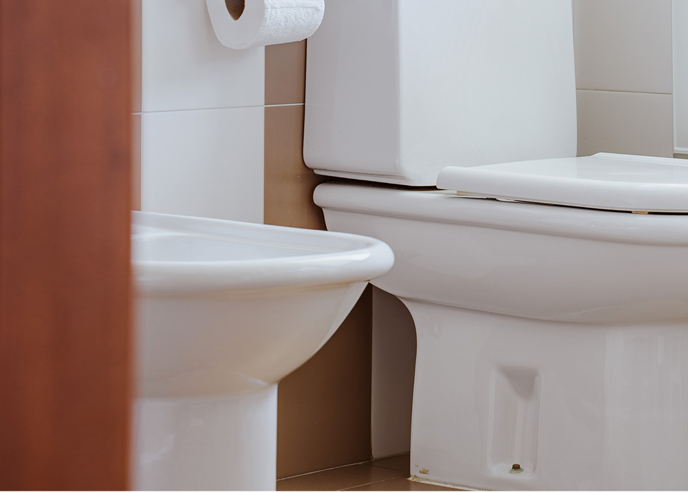 dettaglio bagno con wc e bidet camera tripla hotel bologna